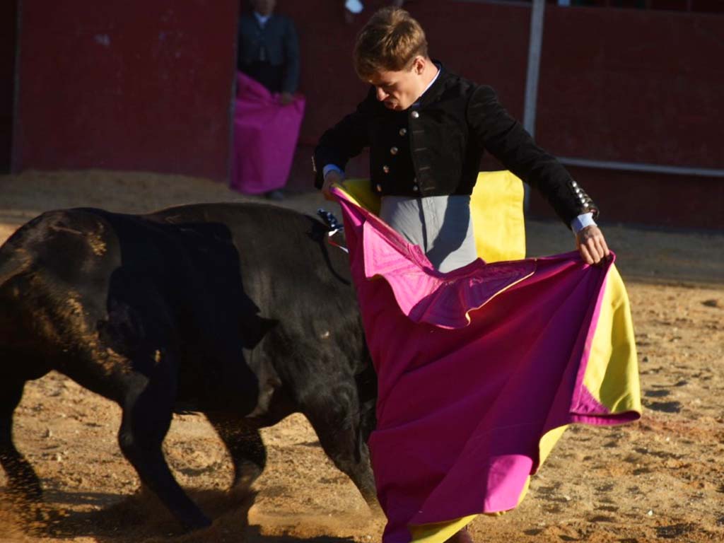 toros saul sanz novillero cantalejo festival turegano