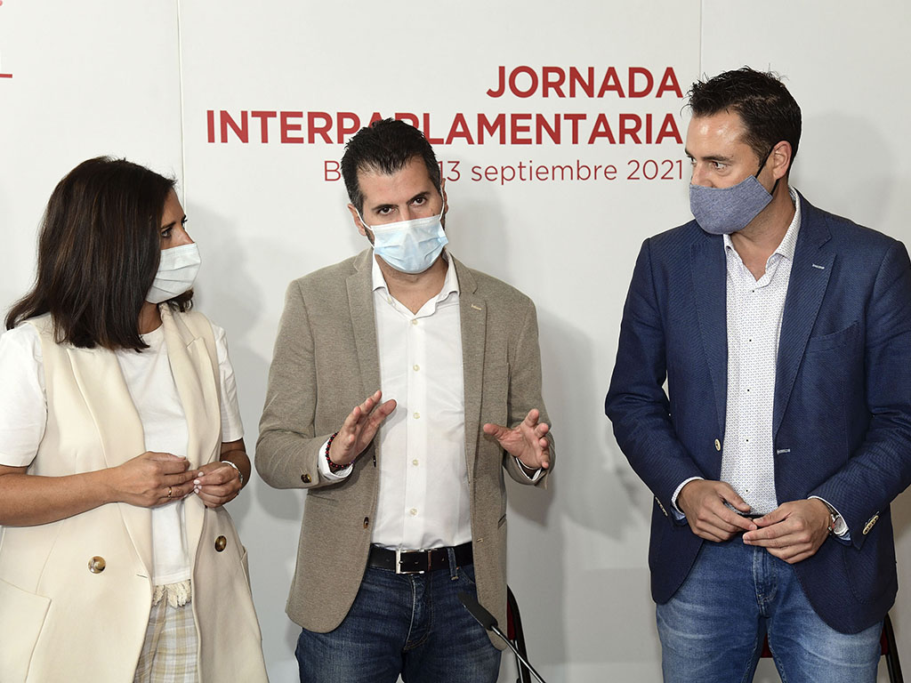 El secretario general del PSOE en Castilla y León (PSCYL), Luis Tudanca. / ICAL