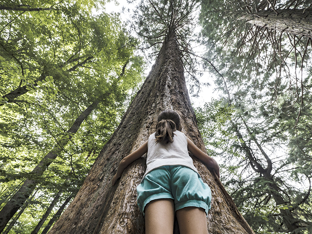 La convocatoria estará abierta hasta el próximo 30 de septiembre. / EL ADELANTADO