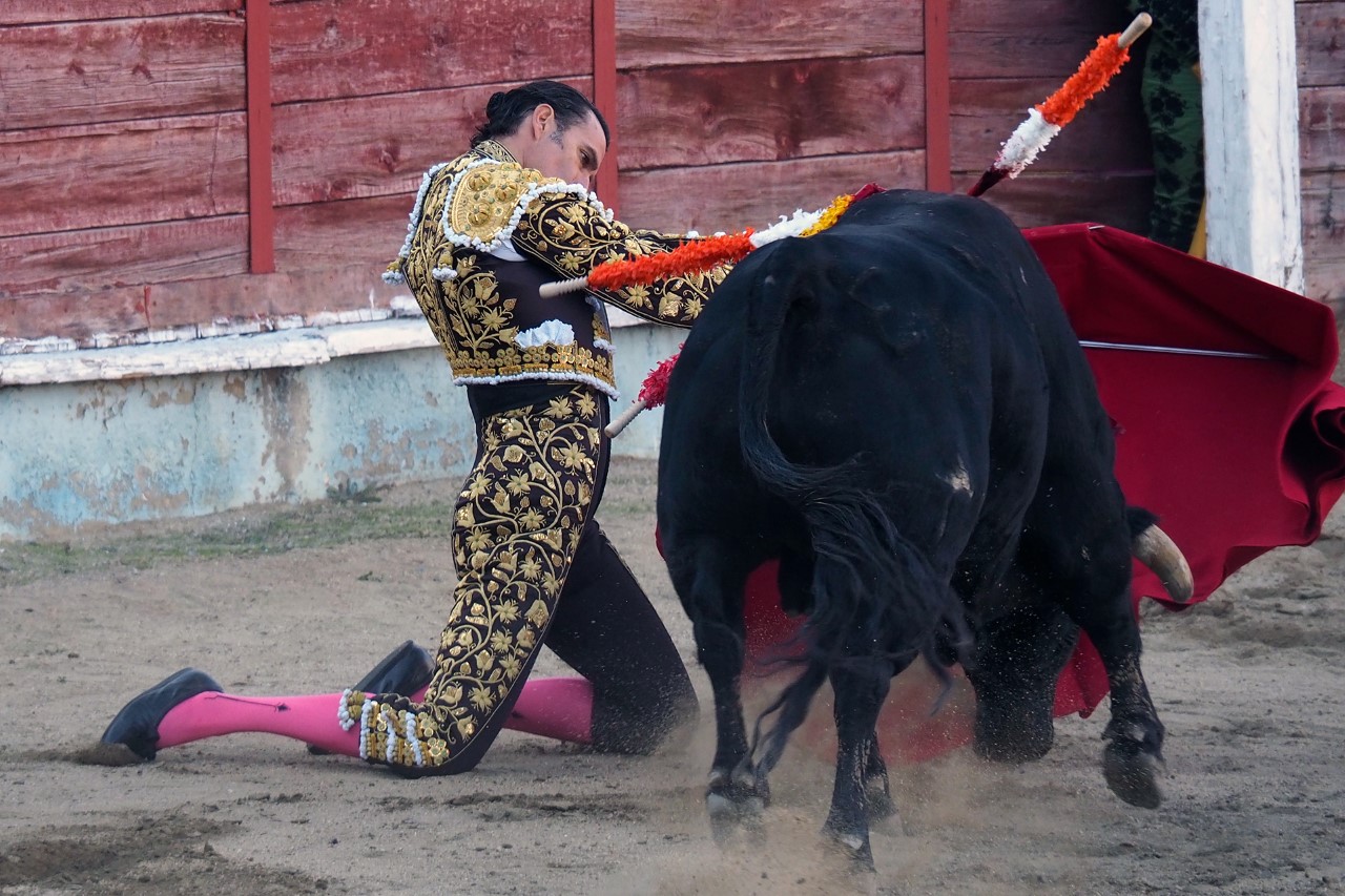 Triunfo del arte de los toreros con poso 1 Cordoba Uceda Leal KAM9758