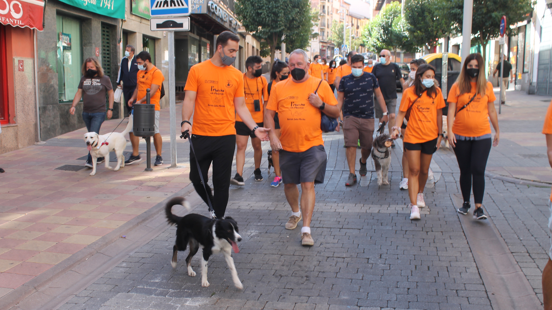 Las mascotas en su mayoria perros Las mascotas en su mayoria perros