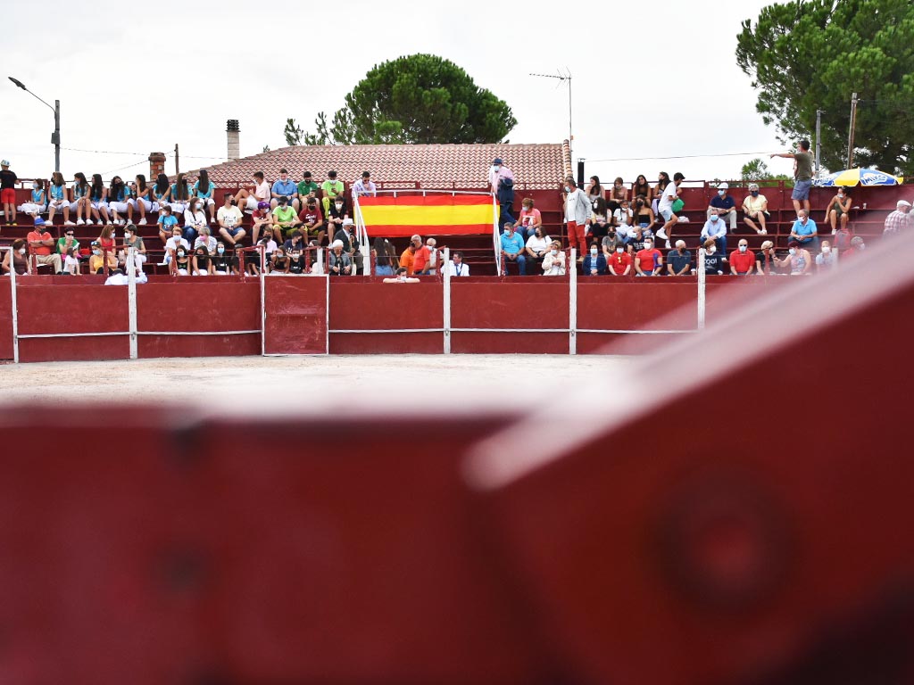 plaza toros portatil zarzuela del pinar