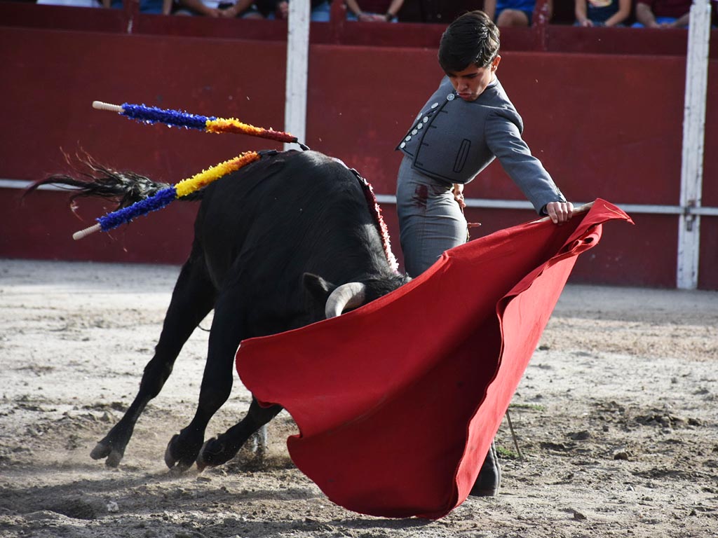 toros manuel roman zarzuela del pinar clase practica toros manuel roman zarzuela del pinar clase practica