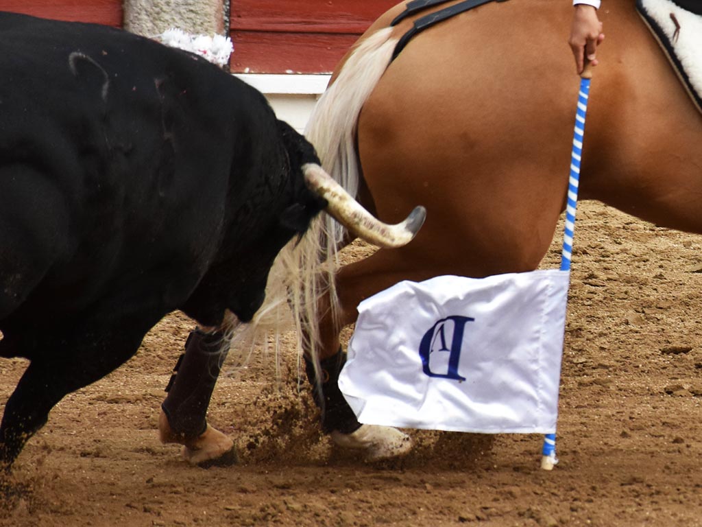 Cabezuela programa un festejo de rejones 1 toros rejones