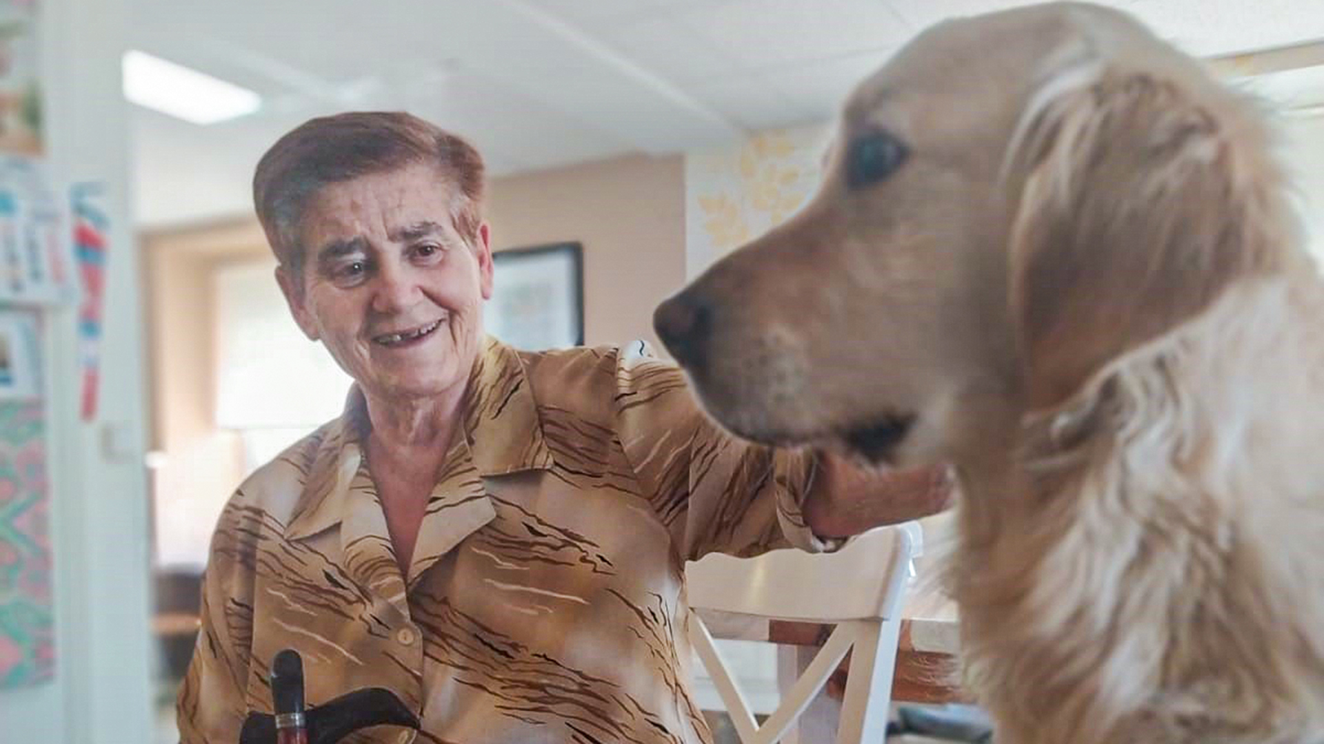 Una de las residentes acaricia al perro. / EL ADELANTADO