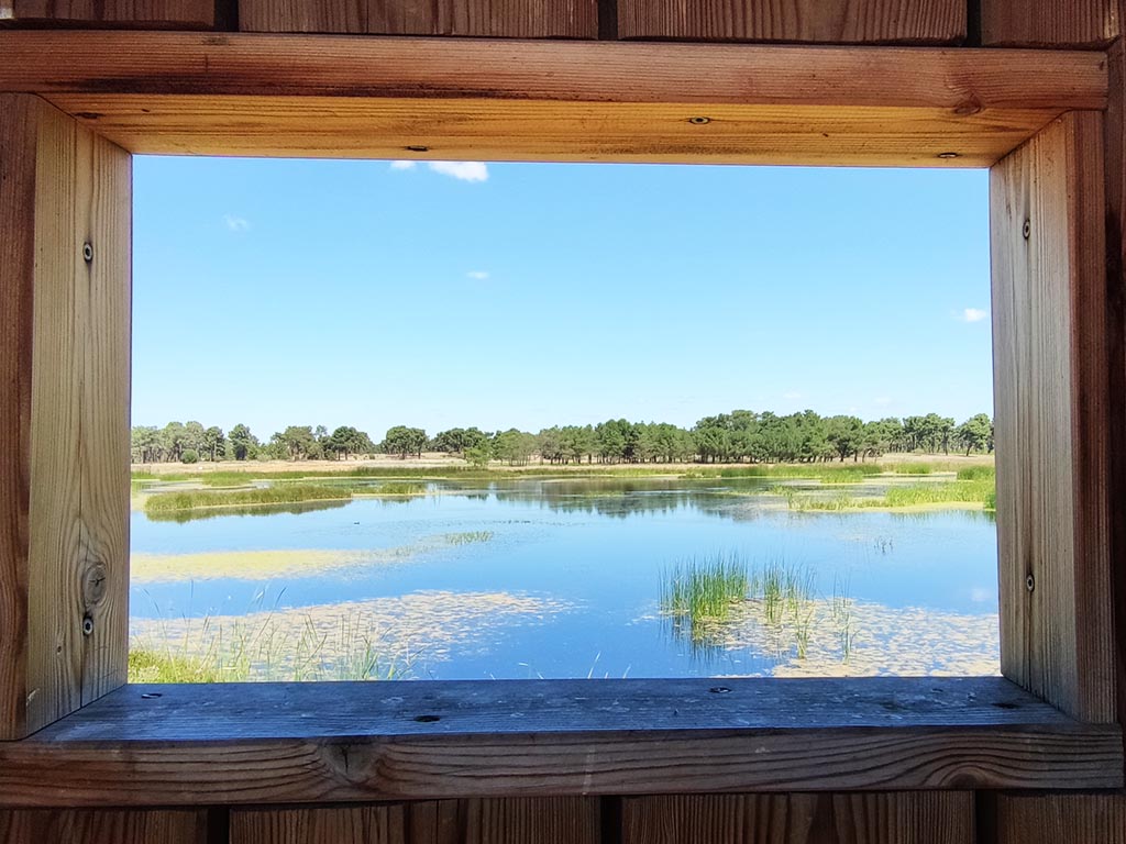 vega navas de oro lagunas y humedales
