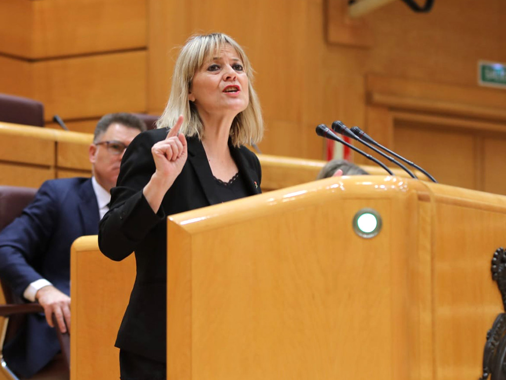 La senadora socialista Ana Agudíez. / E.A.