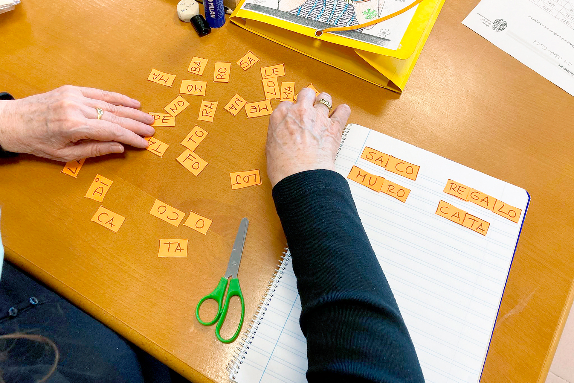 AFA Alzheimer Unidad Estancia Diurna actividades