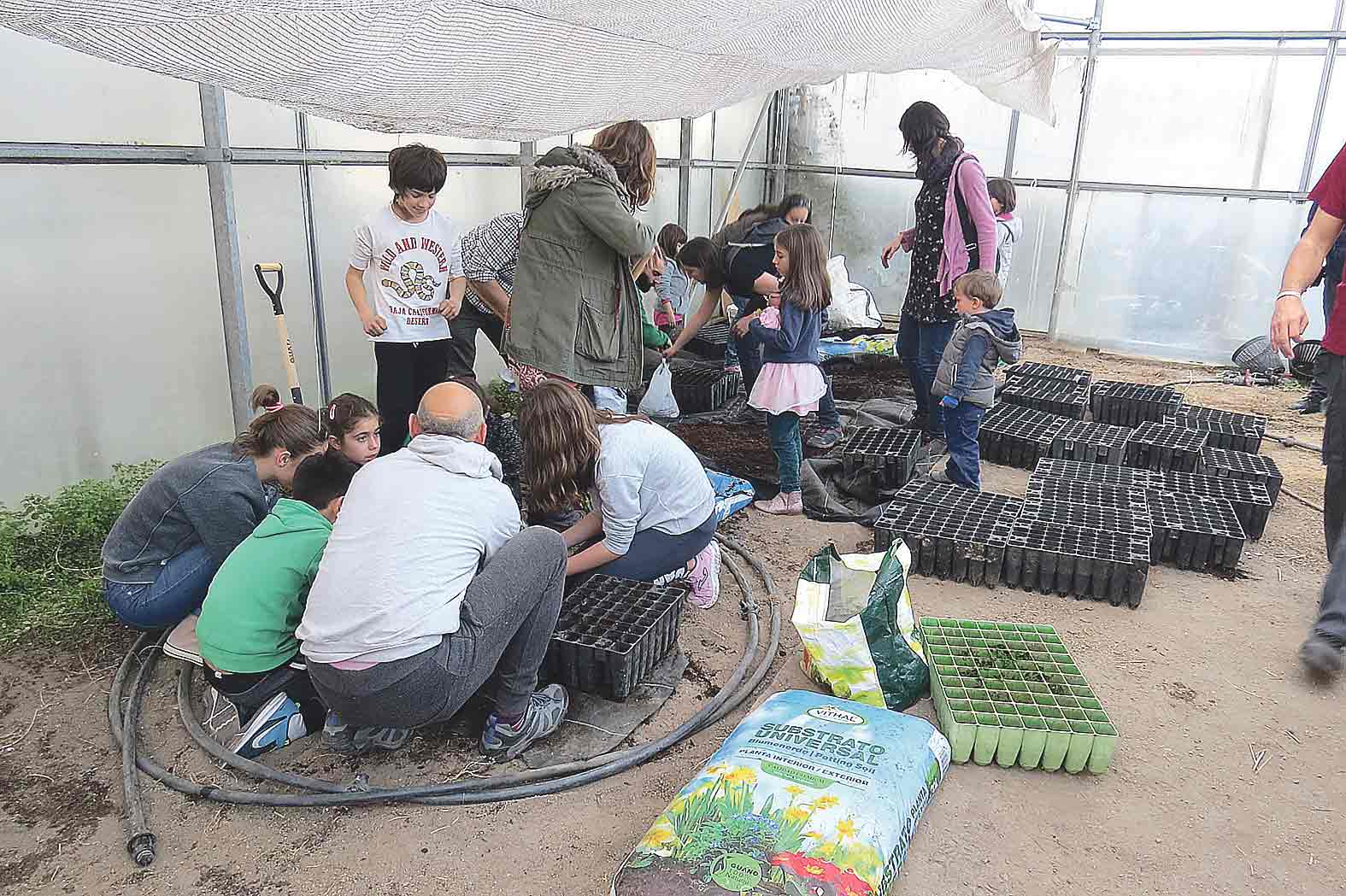 En Verde participantes En Verde participantes