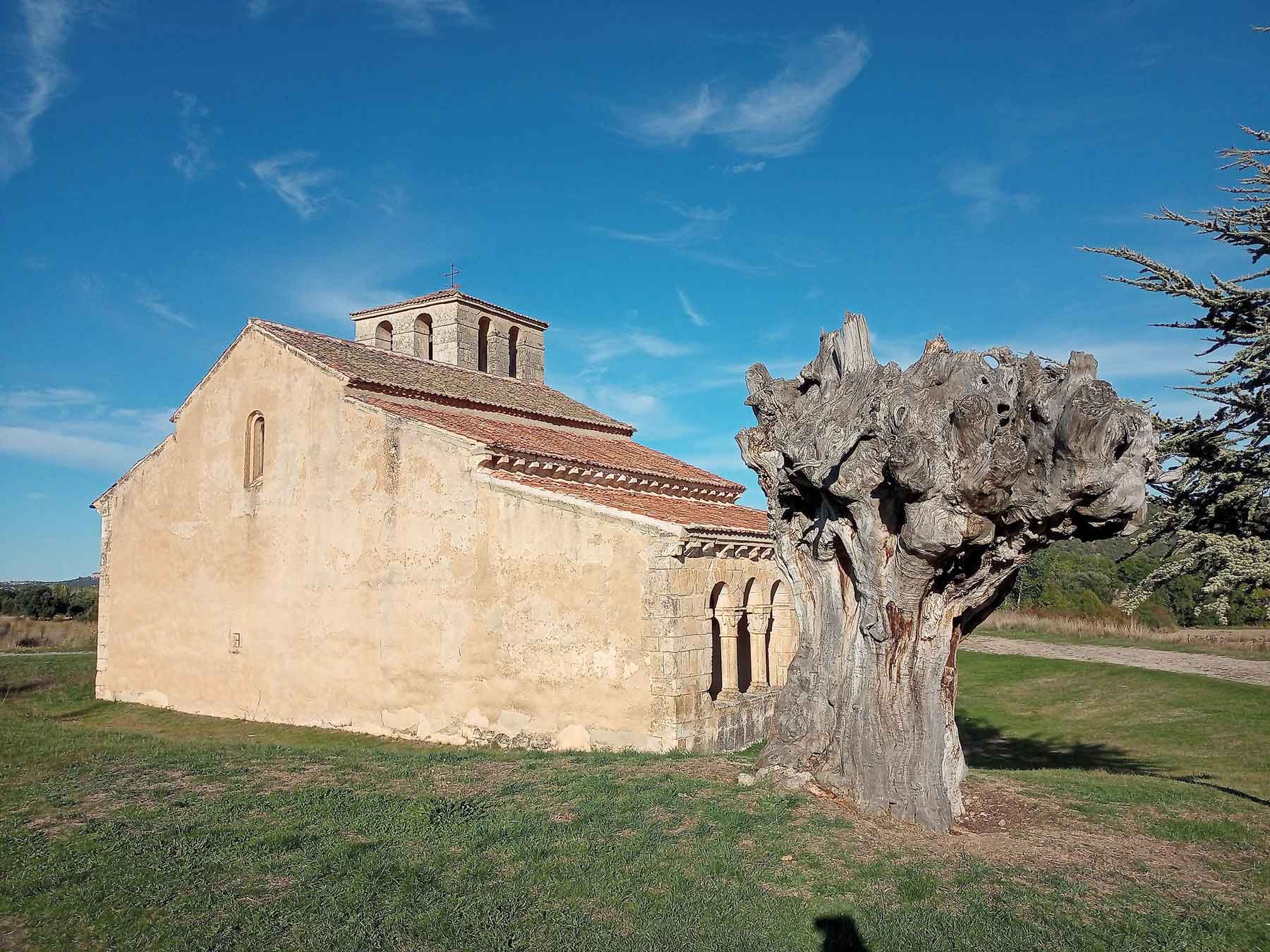 Instituto Olma Requijada