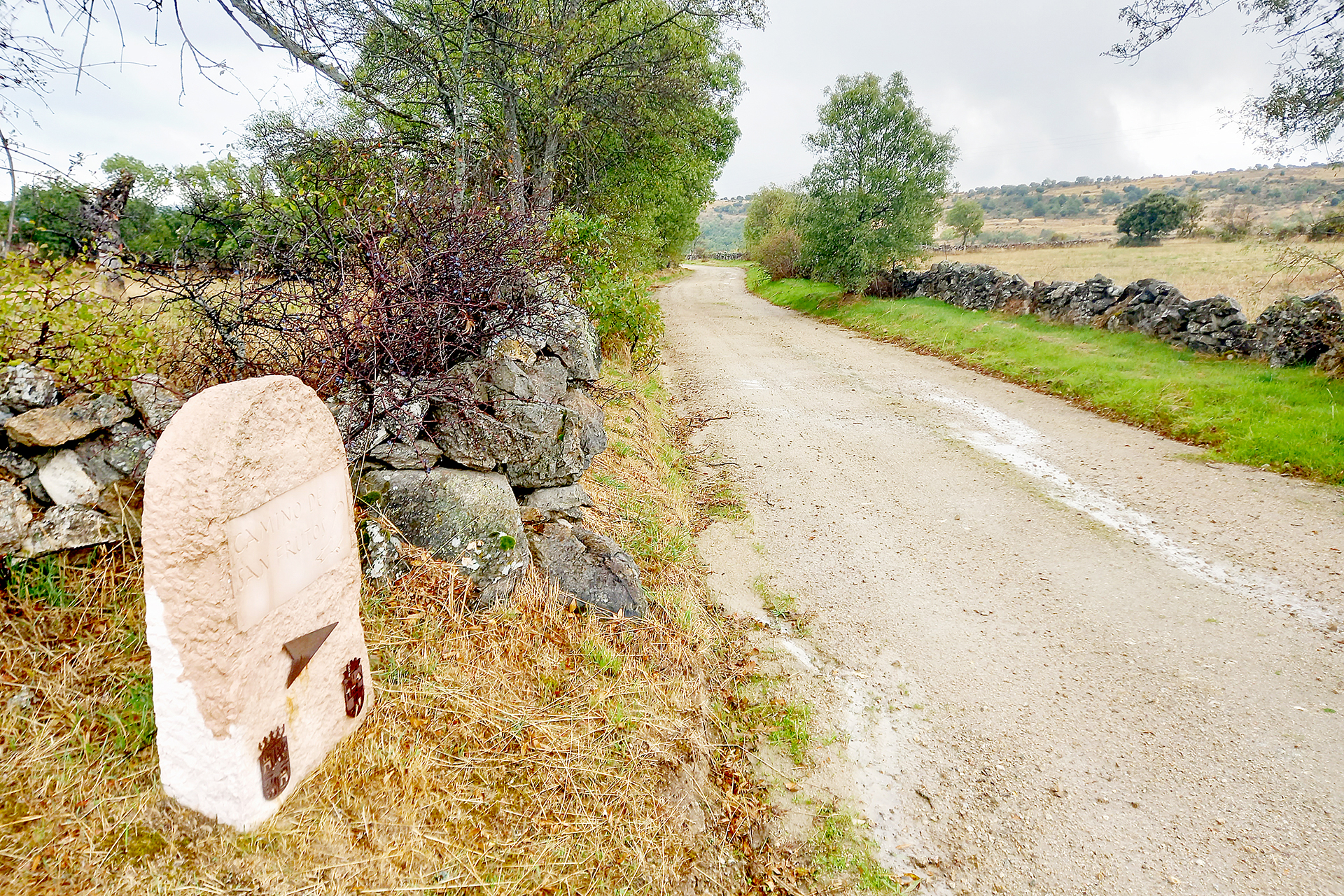 Rutas Camino San Frutos