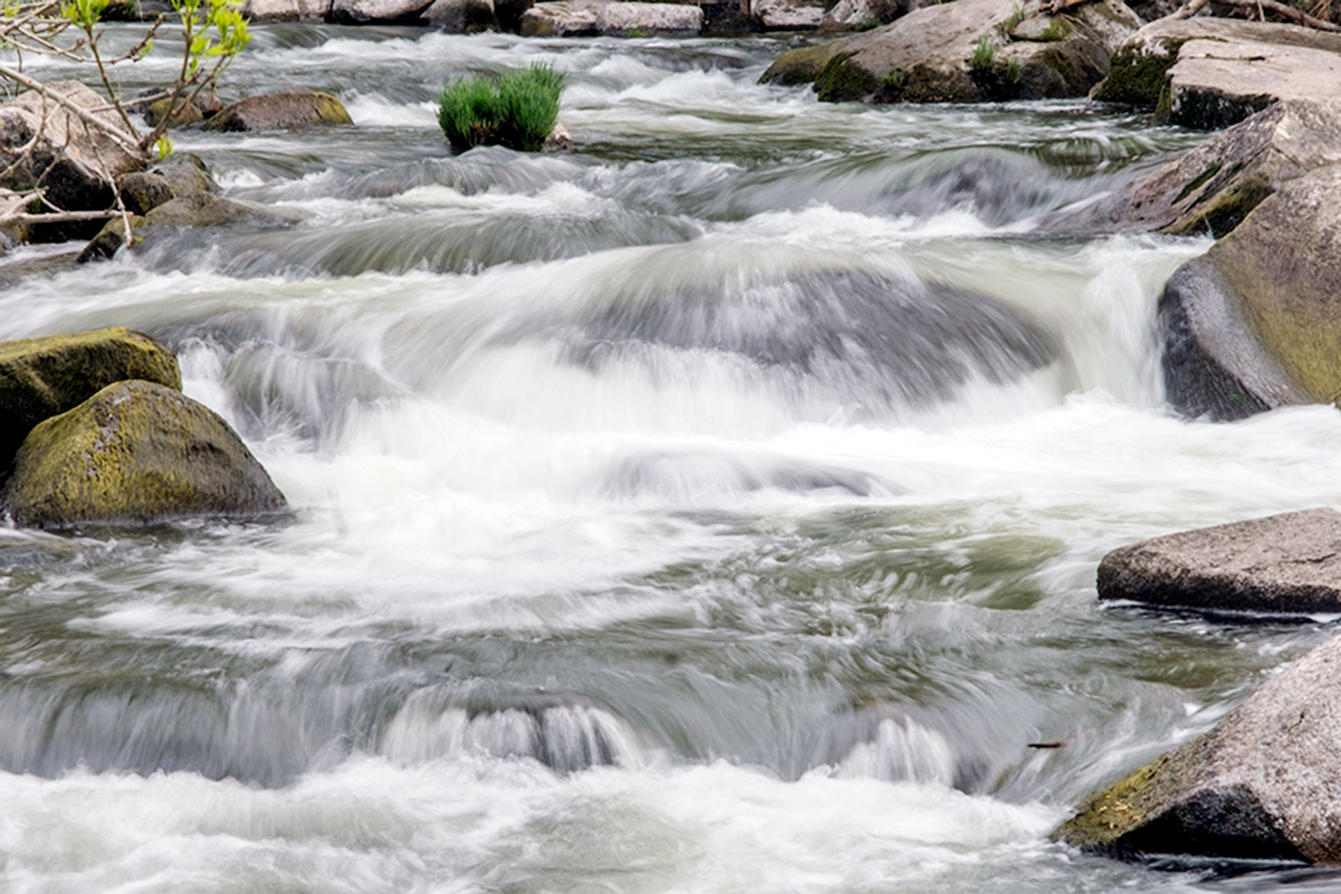 Senda Molinos Rio Eresma KAM5952