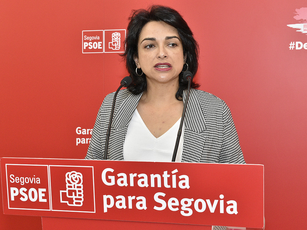 alicia palomo psoe