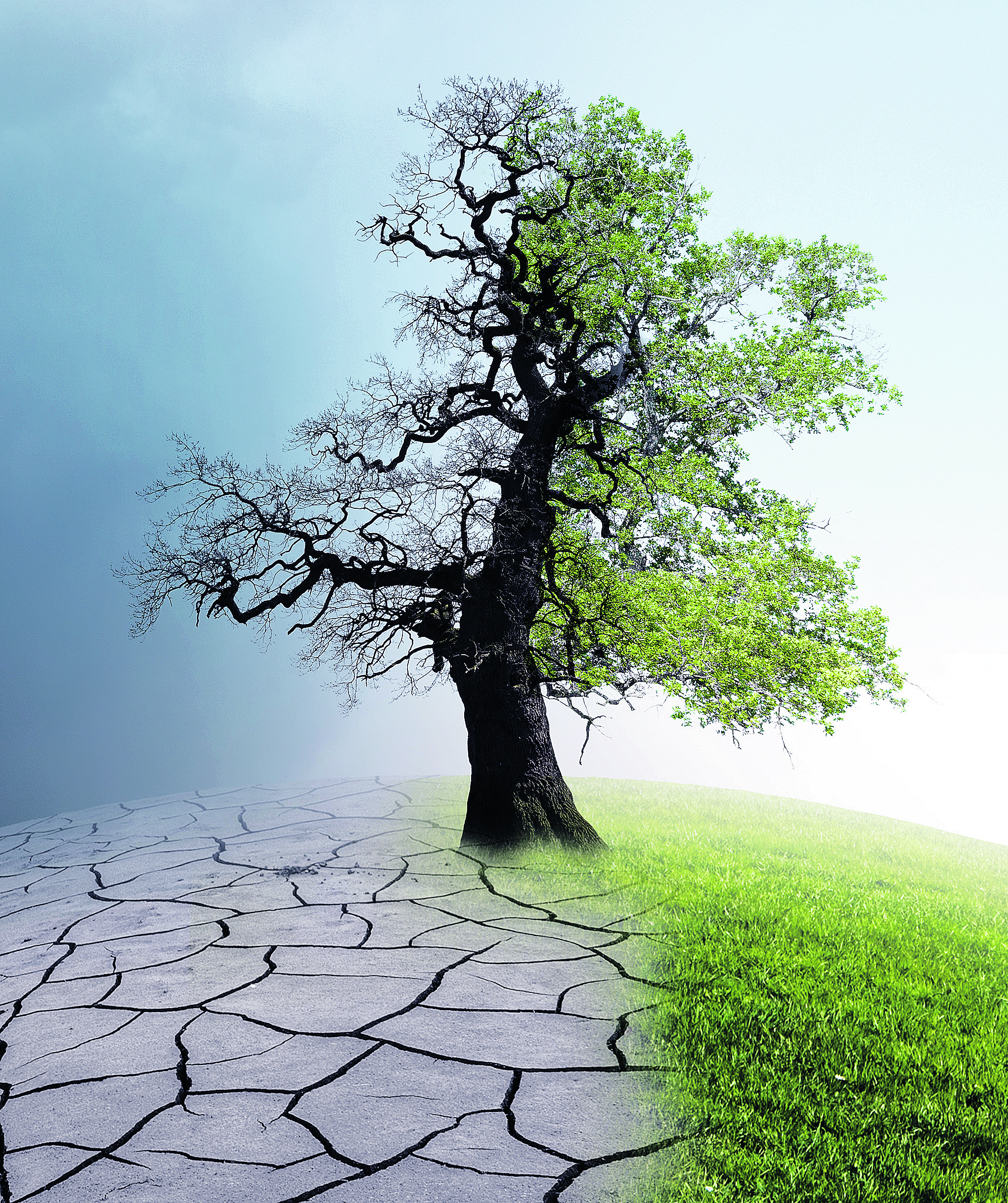 cambio climatico medioambiente