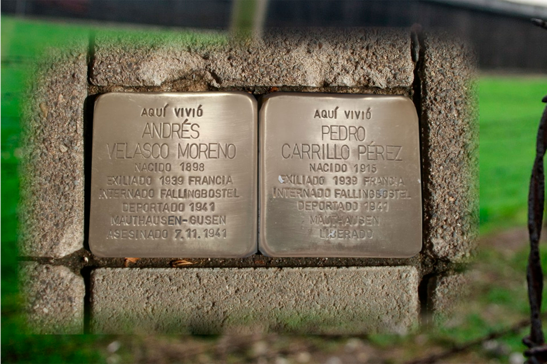 cartel stolpersteine