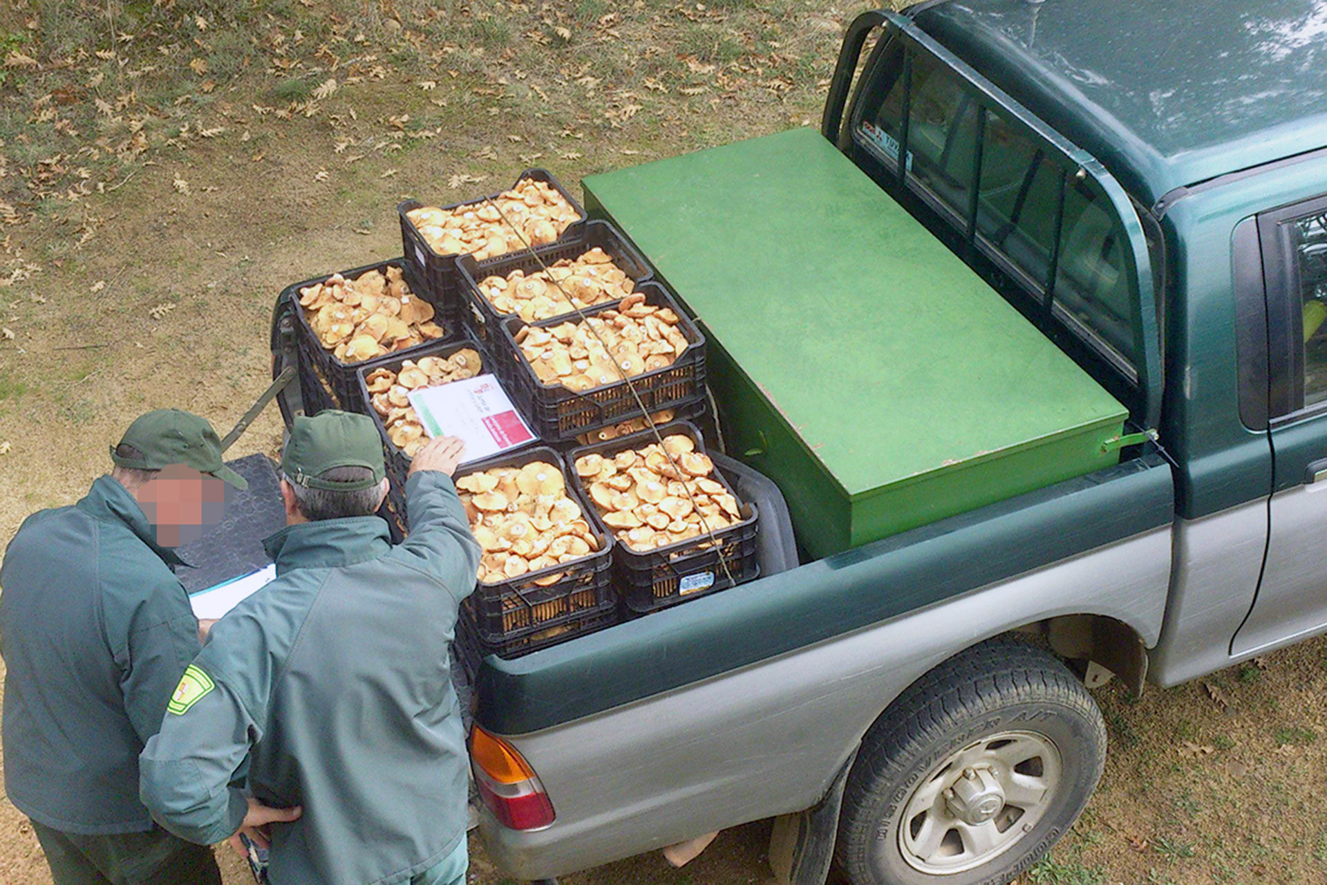 setas agentes medioambientales