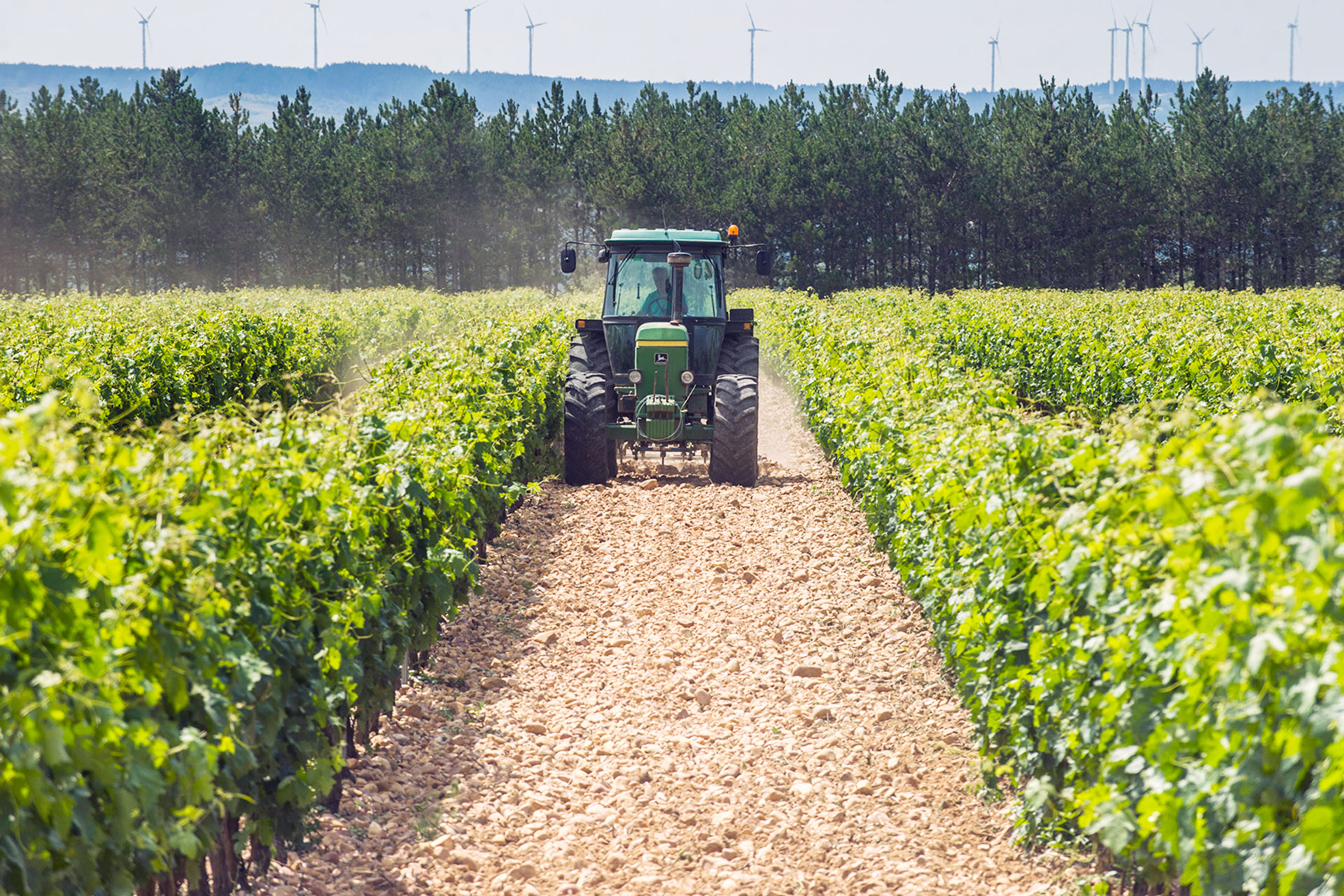 Bodega Perez Veros KAM2921