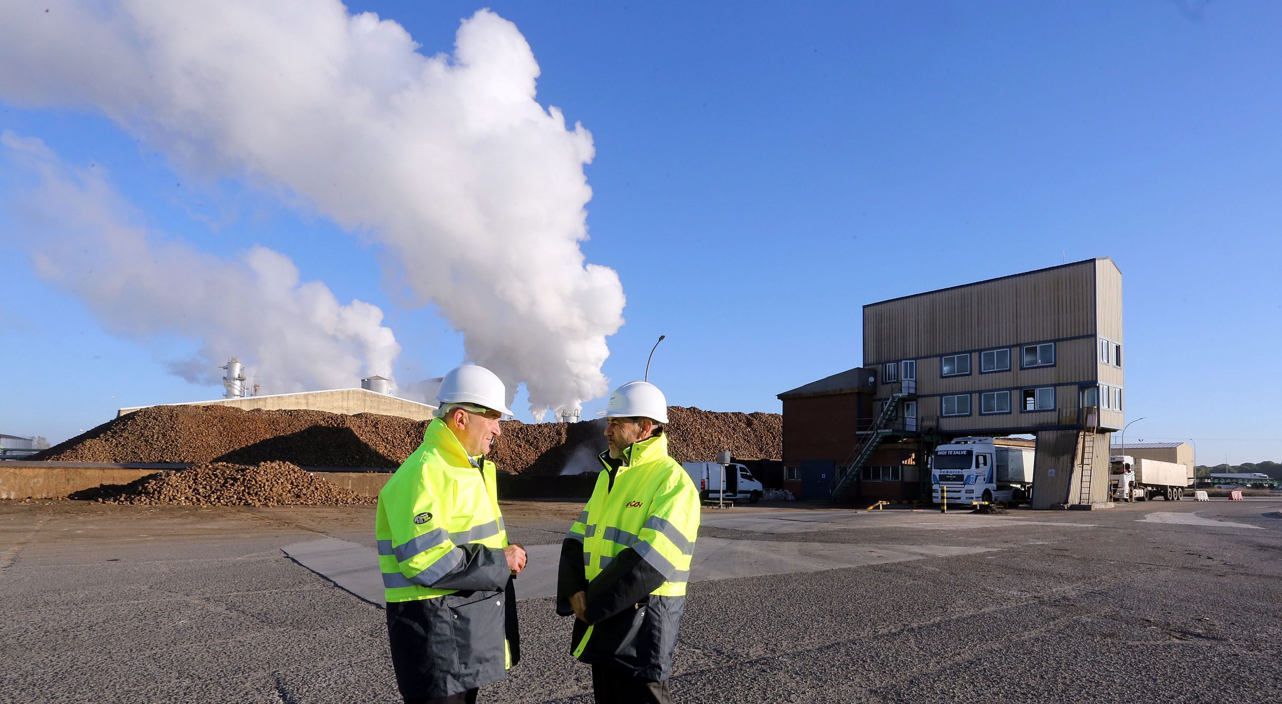 Carnero apoyo Junta remolacha