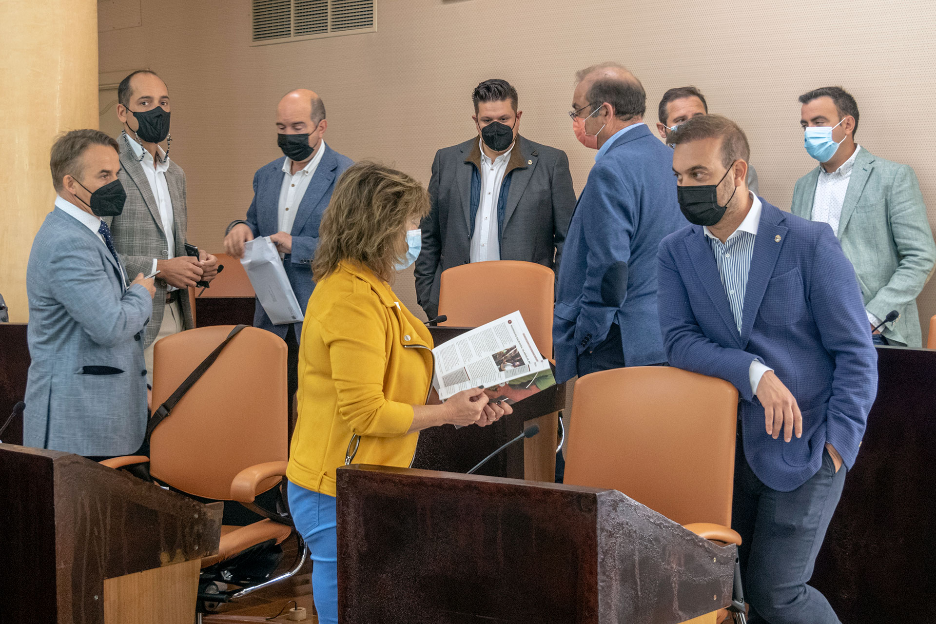 Diputacion Pleno Grupo PSOE KAM1437