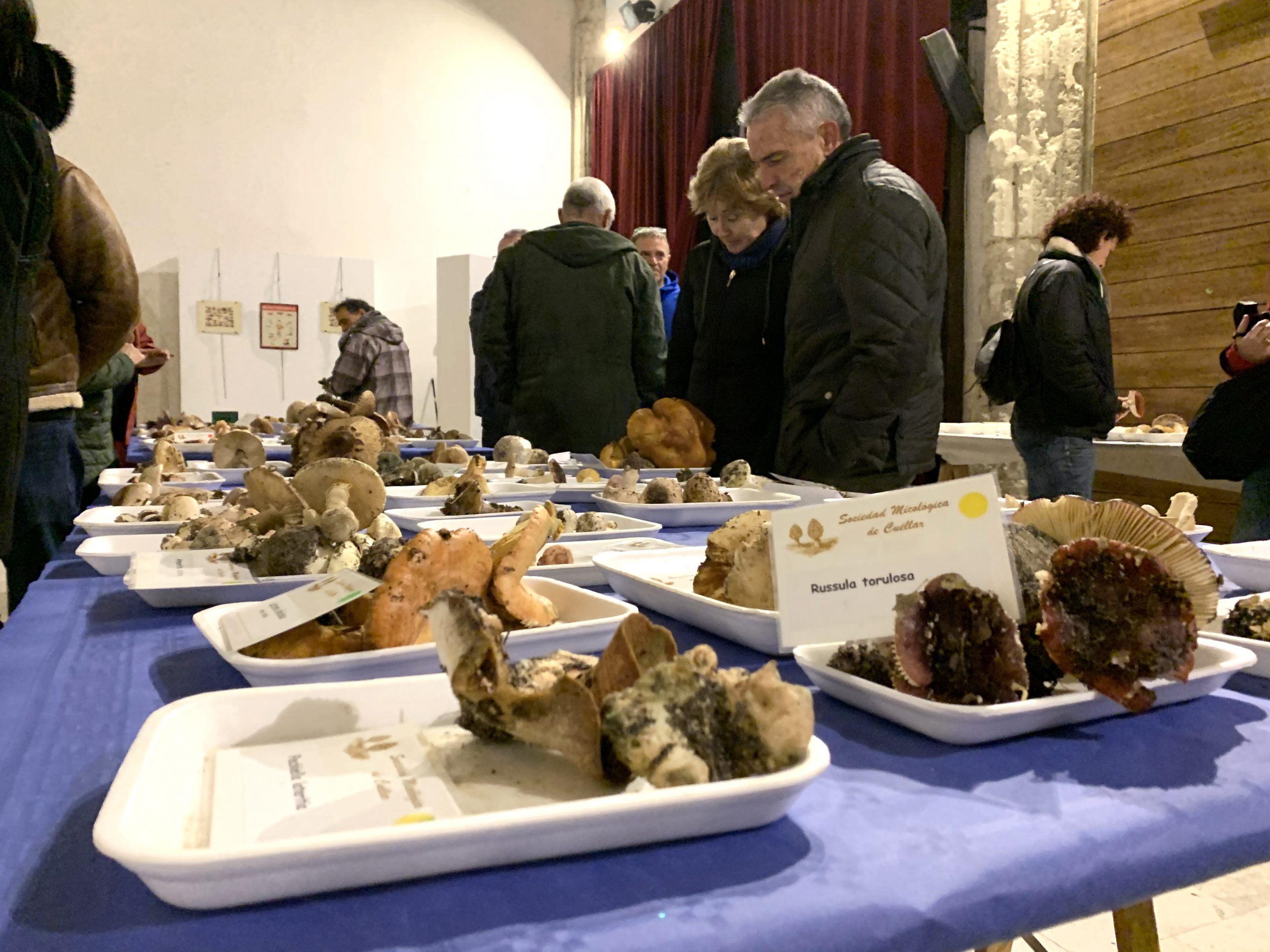 Jornadas Micologías