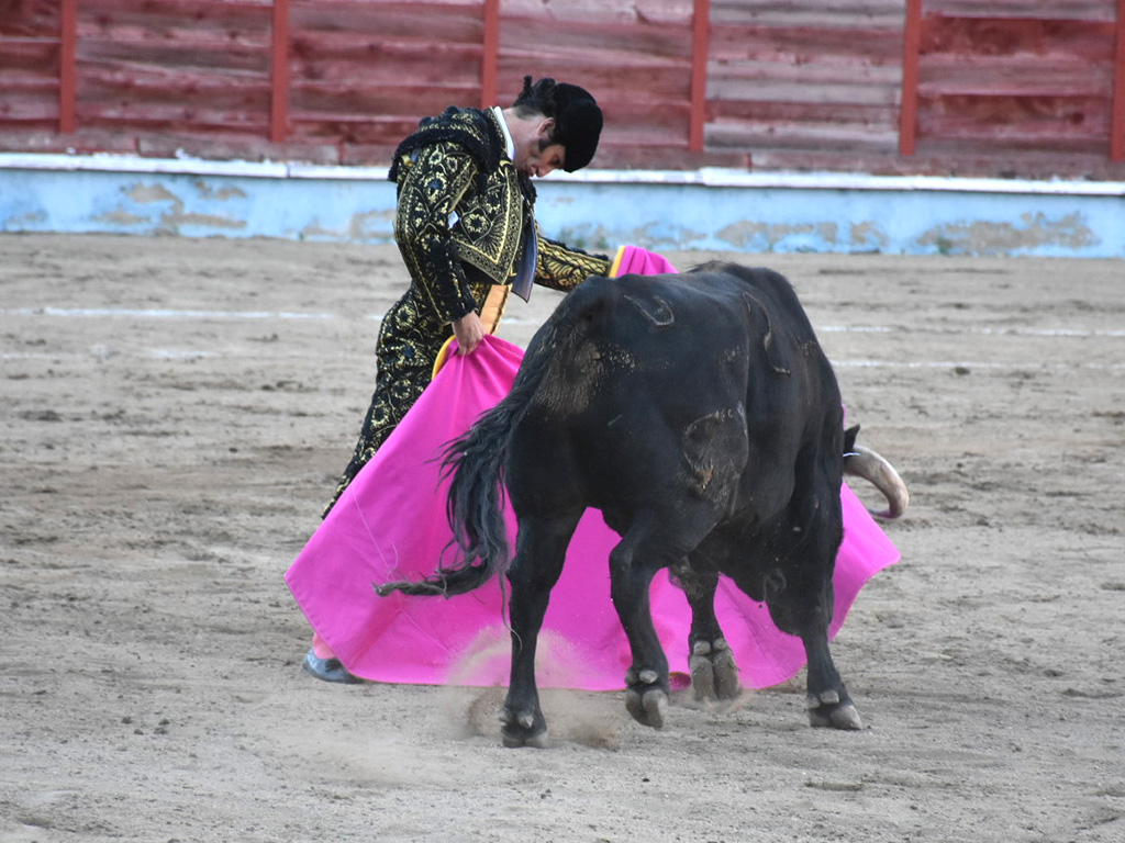 Morante de la Puebla recibe a la verónica a un toro de Garcigrande en la plaza de Segovia (2021). / A.M.