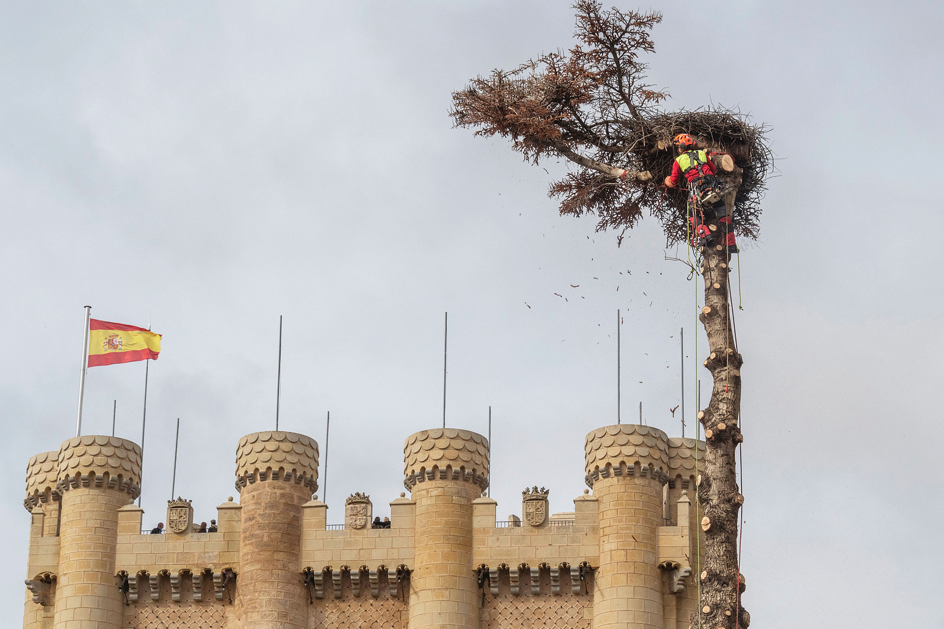 alcazar Tala Pinsapo