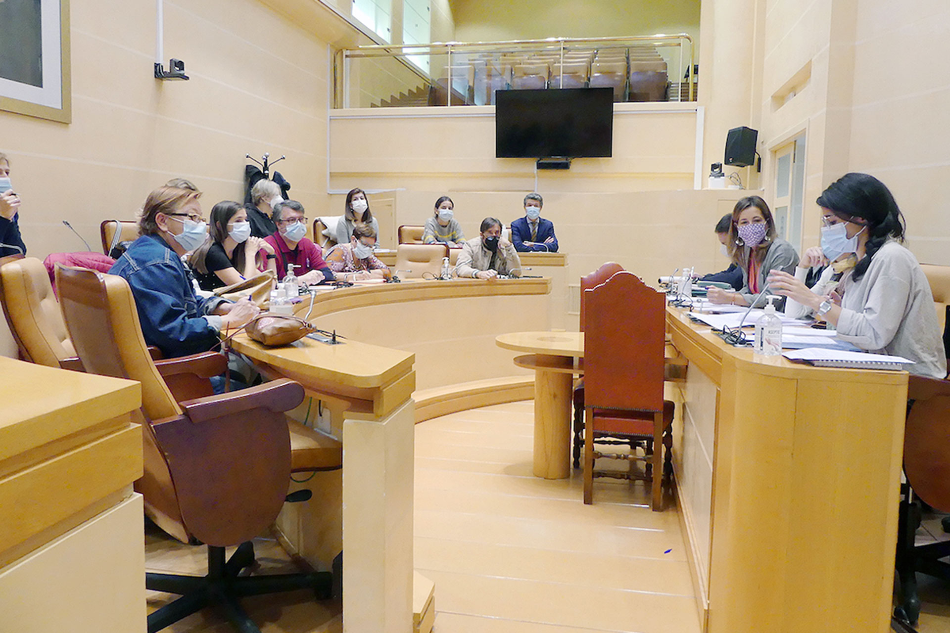 ayuntamiento consejo sectorial Mujer