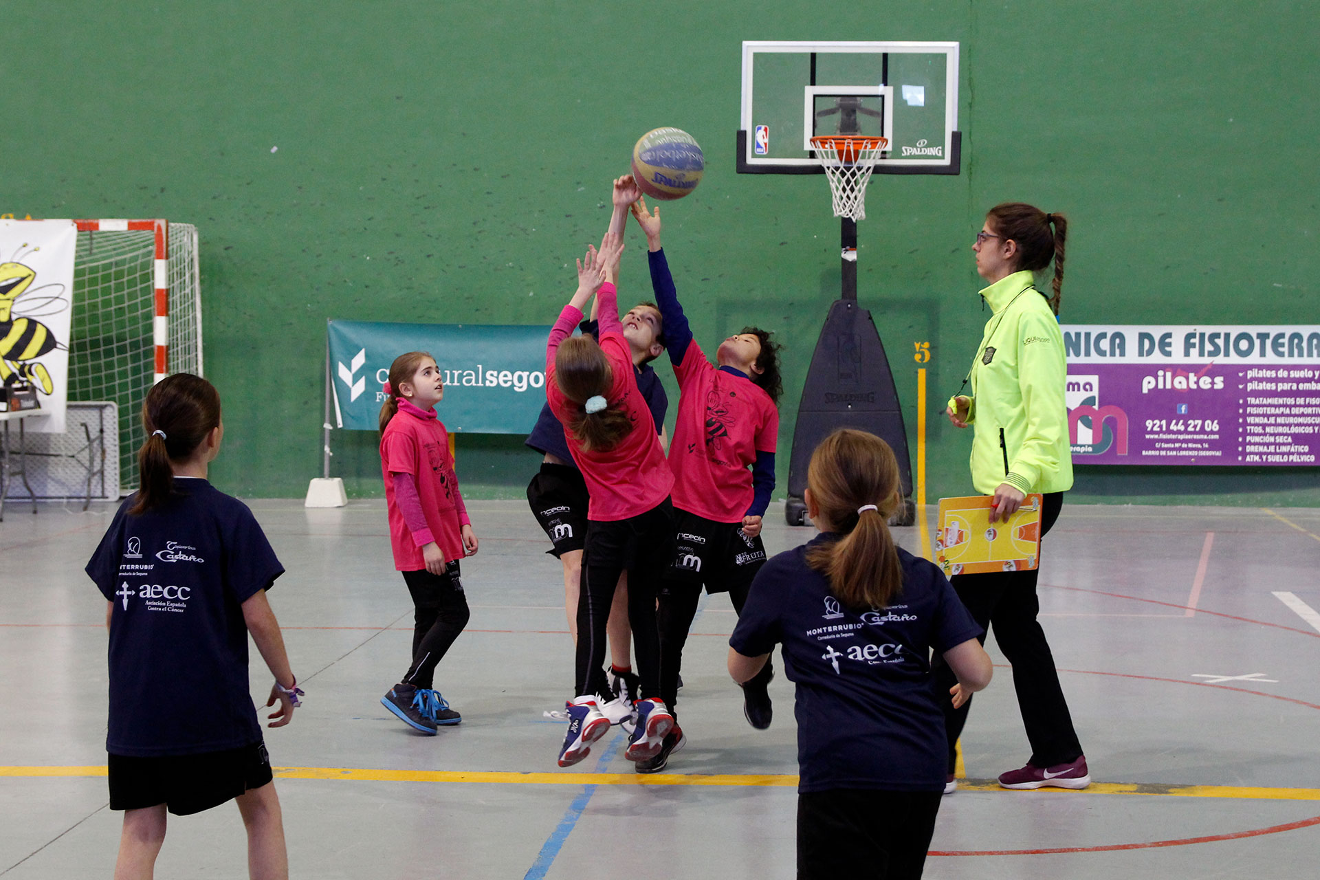 baloncesto avispa calixta