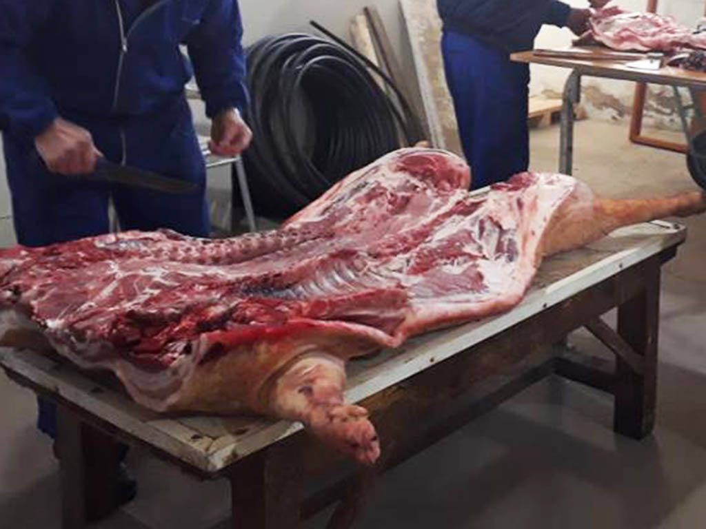 despiece cerdos matanza