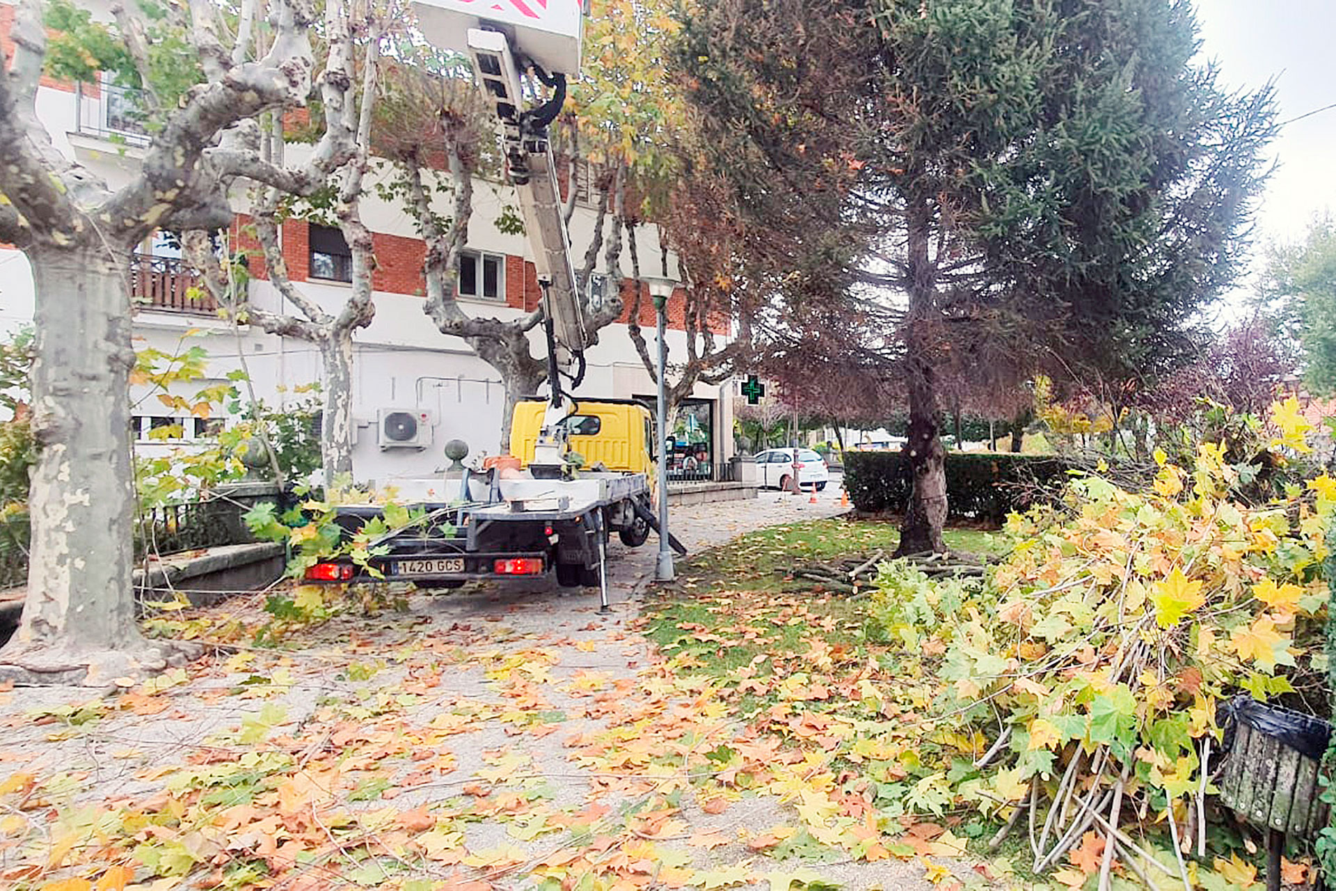 el espinar Valoriza conservacion espacios verdes 09