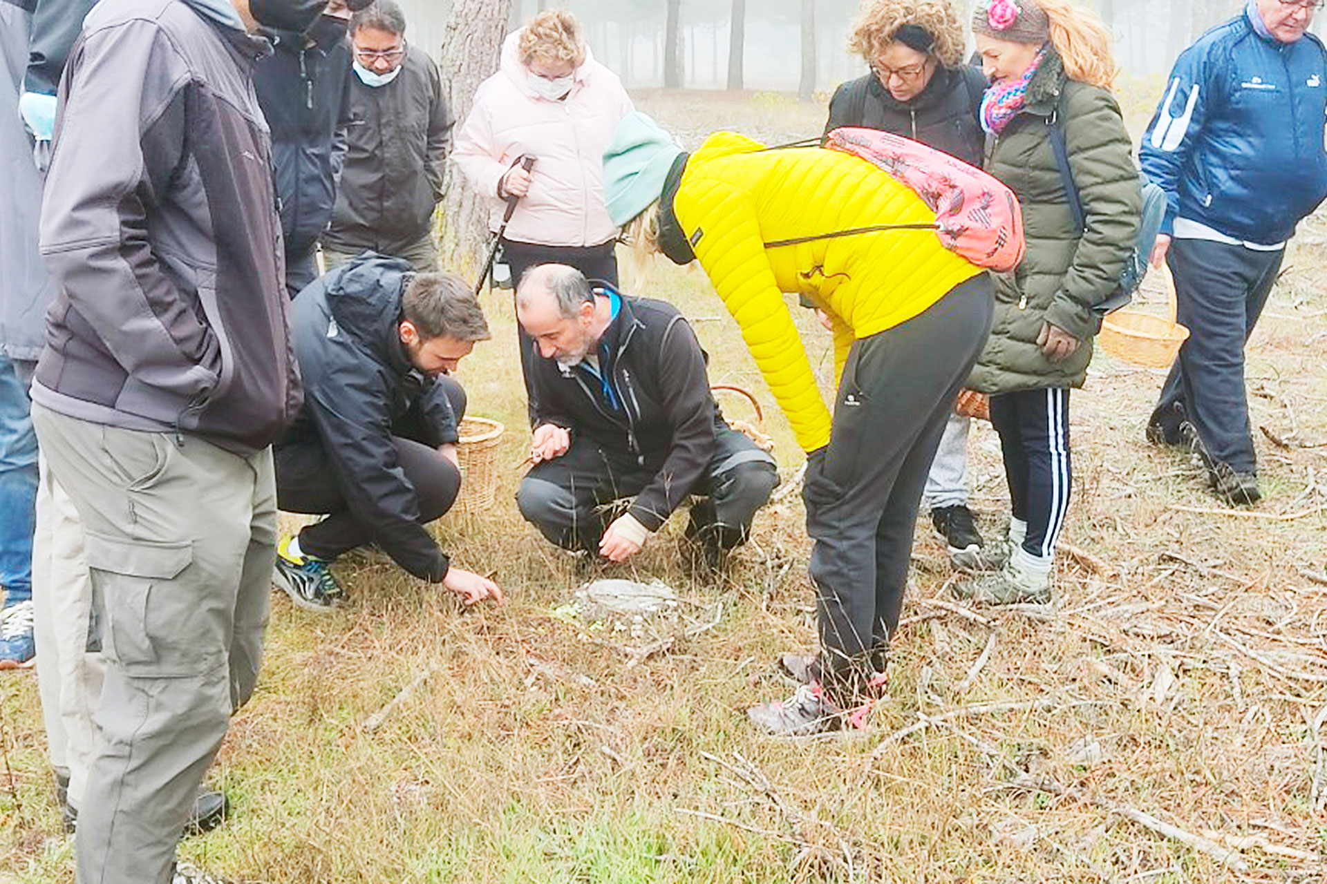 fuenterrebollo jornadas micologicas