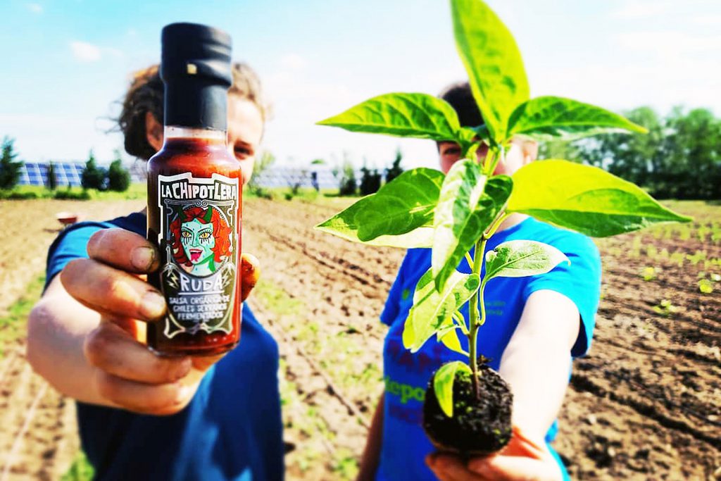 navas oro huerta La RetamillA