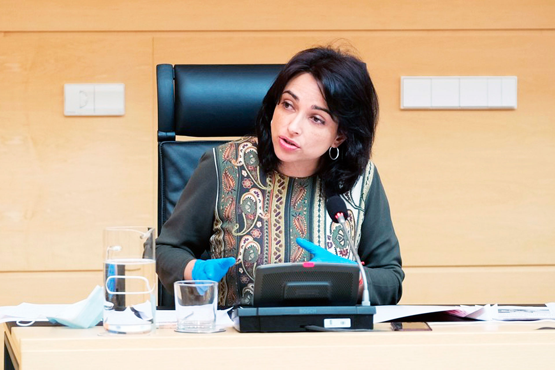 psoe alicia palomo cortes comision sanidad