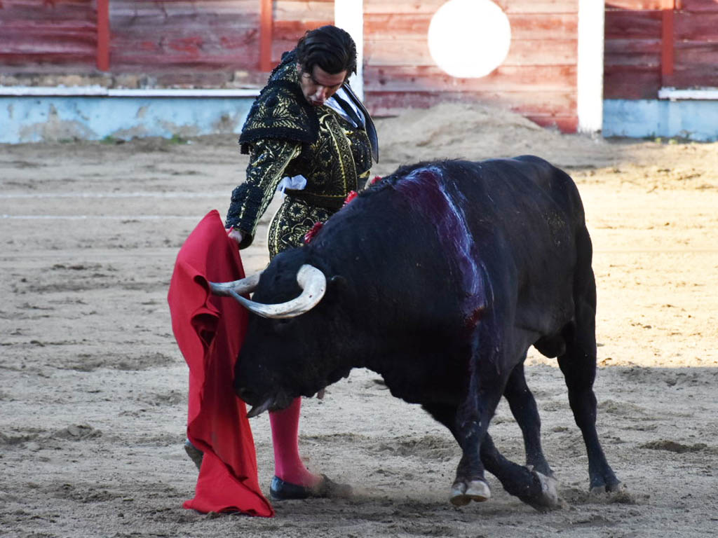 toros morante de la puebla segovia toros morante de la puebla segovia