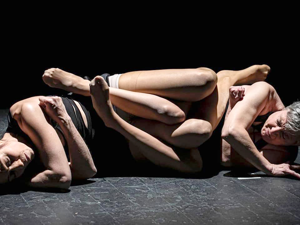 El teatro inclusivo se abre paso desde hace doce anos en Segovia en el Festival Paladio Arte con companias de primer nivel