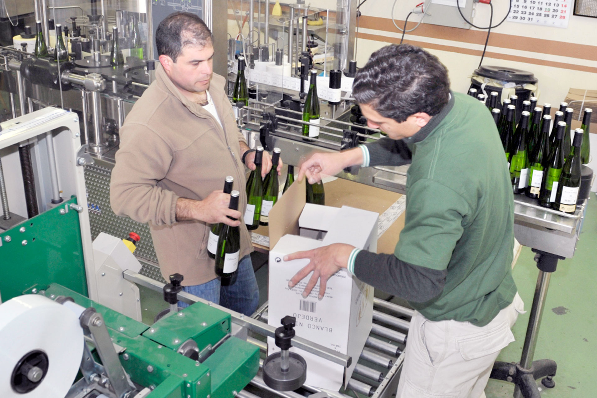 Embotellado Vino KAM0435