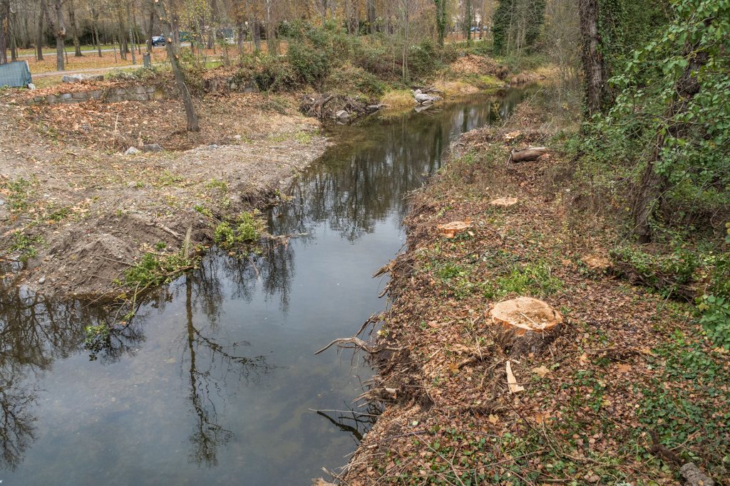 Puente Rio Eresma Alameda Corte Arboles Ribera KAM2462