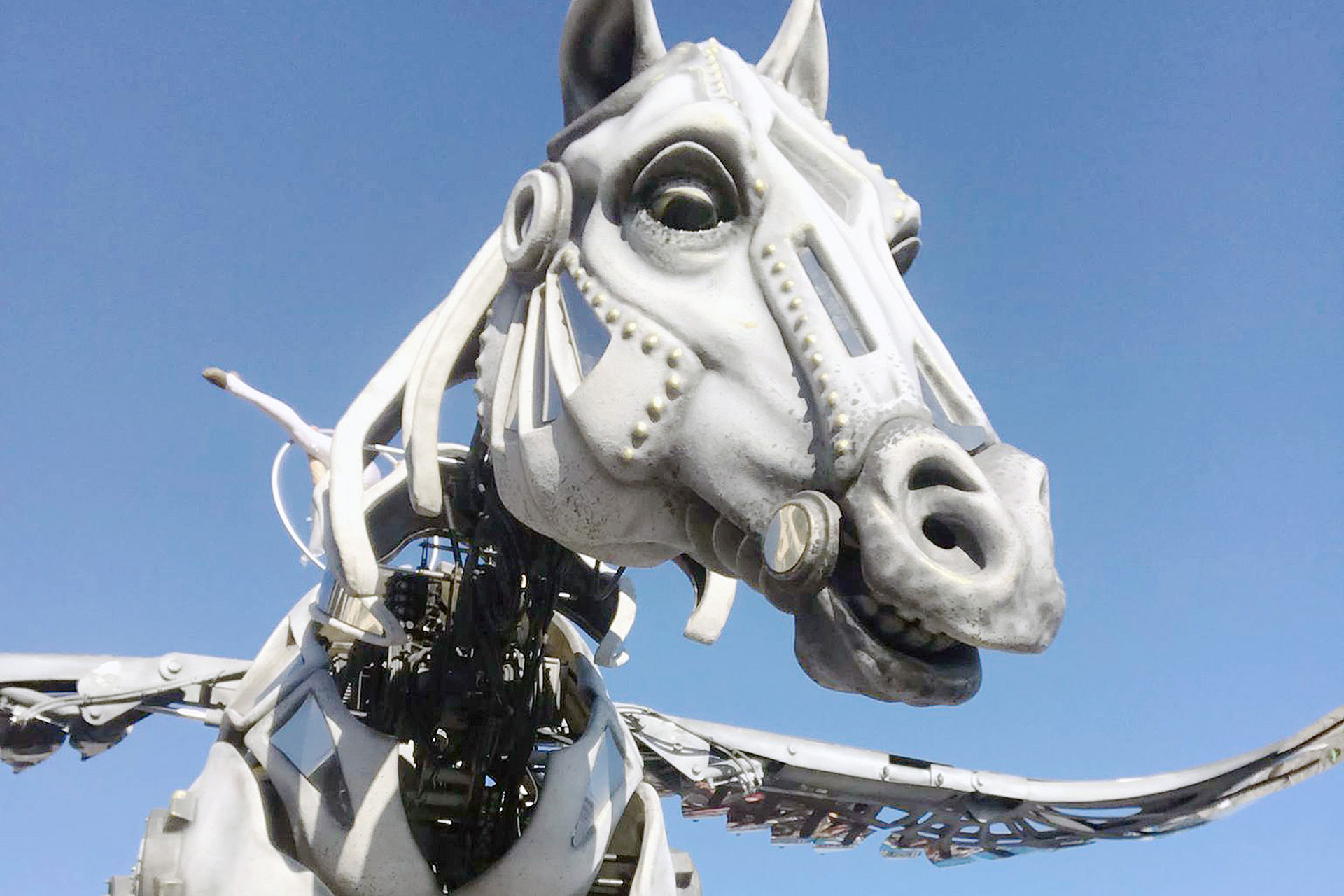 ayuntamiento cabalgata reyes pegaso previo 03