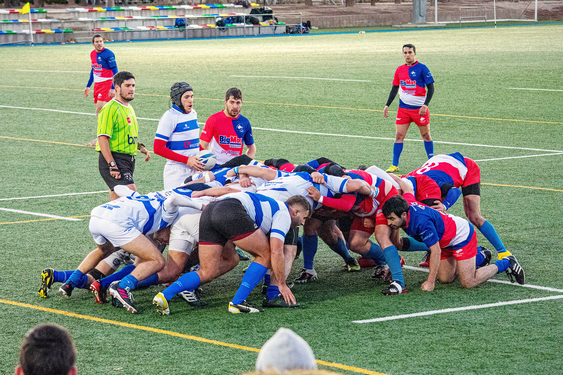 rugby lobos DSC0440