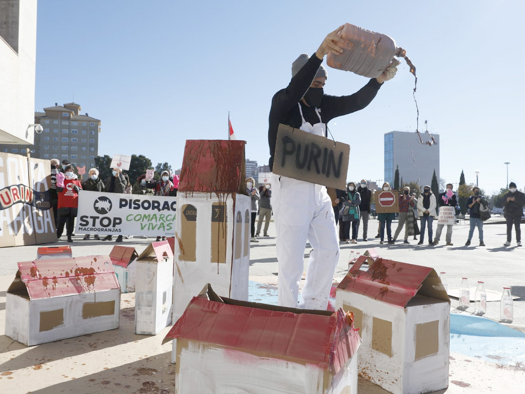Varios colectivos participaron en la protesta ante las Cortes. /E.A.