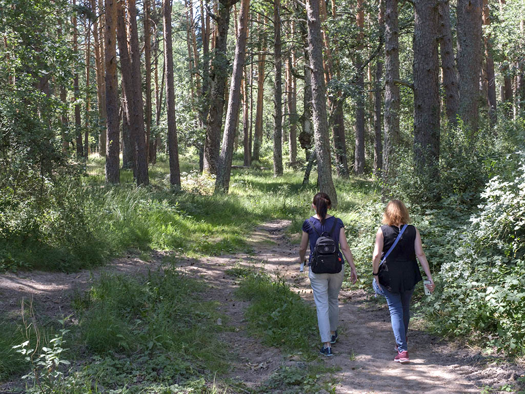 Los Montes de Valsaín ofrecen sus parcelas para este programa medioambiental. / KAMARERO