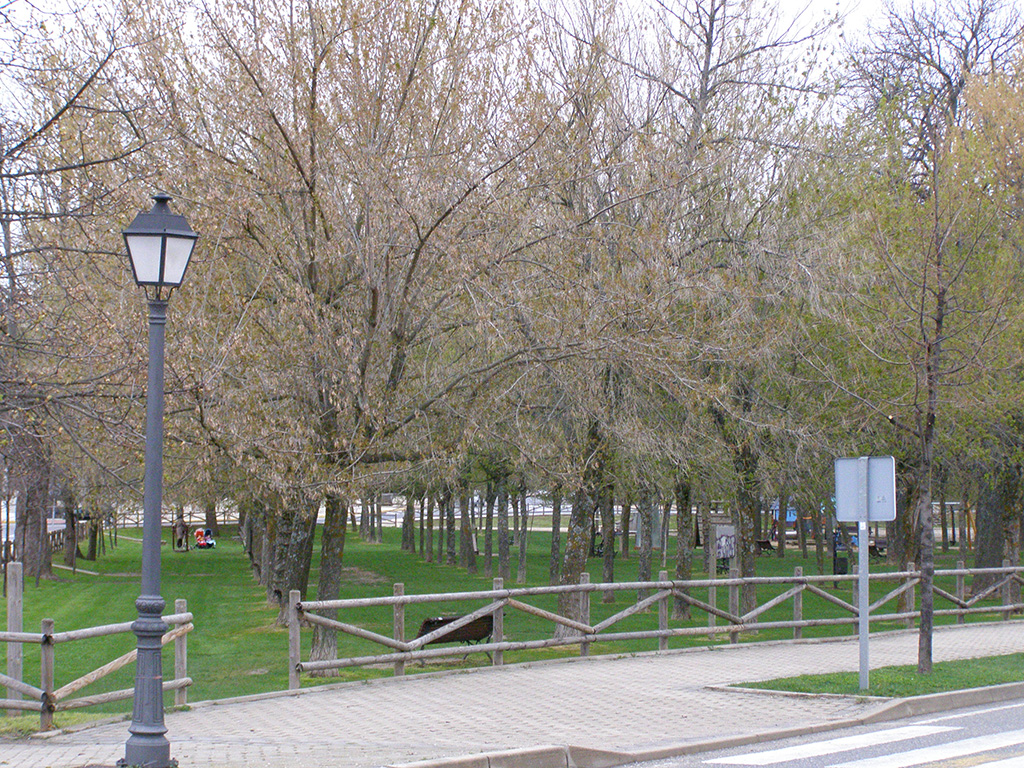 El Real Sitio cuenta con más de 22 hectáreas de espacios verdes.