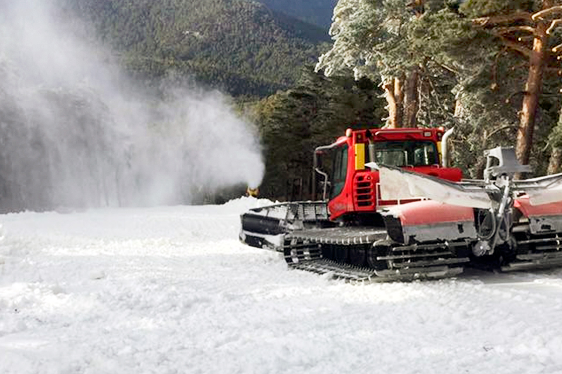 Navacerrada estacion de esqui bosque 01