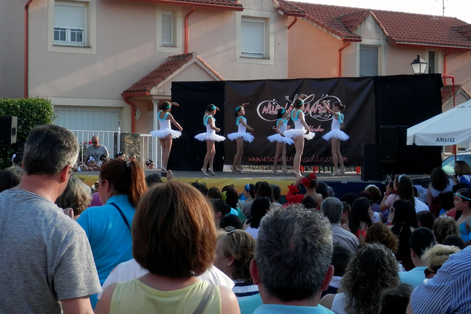 Palazuelos fiestas San Antonio 863