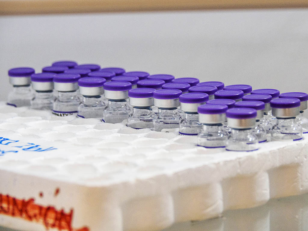 Vacuna Vacunacion Coronavirus