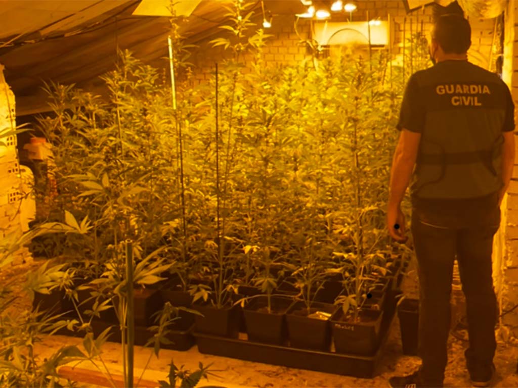 detenido drogas marihuana guardia civil zarzuela del monte