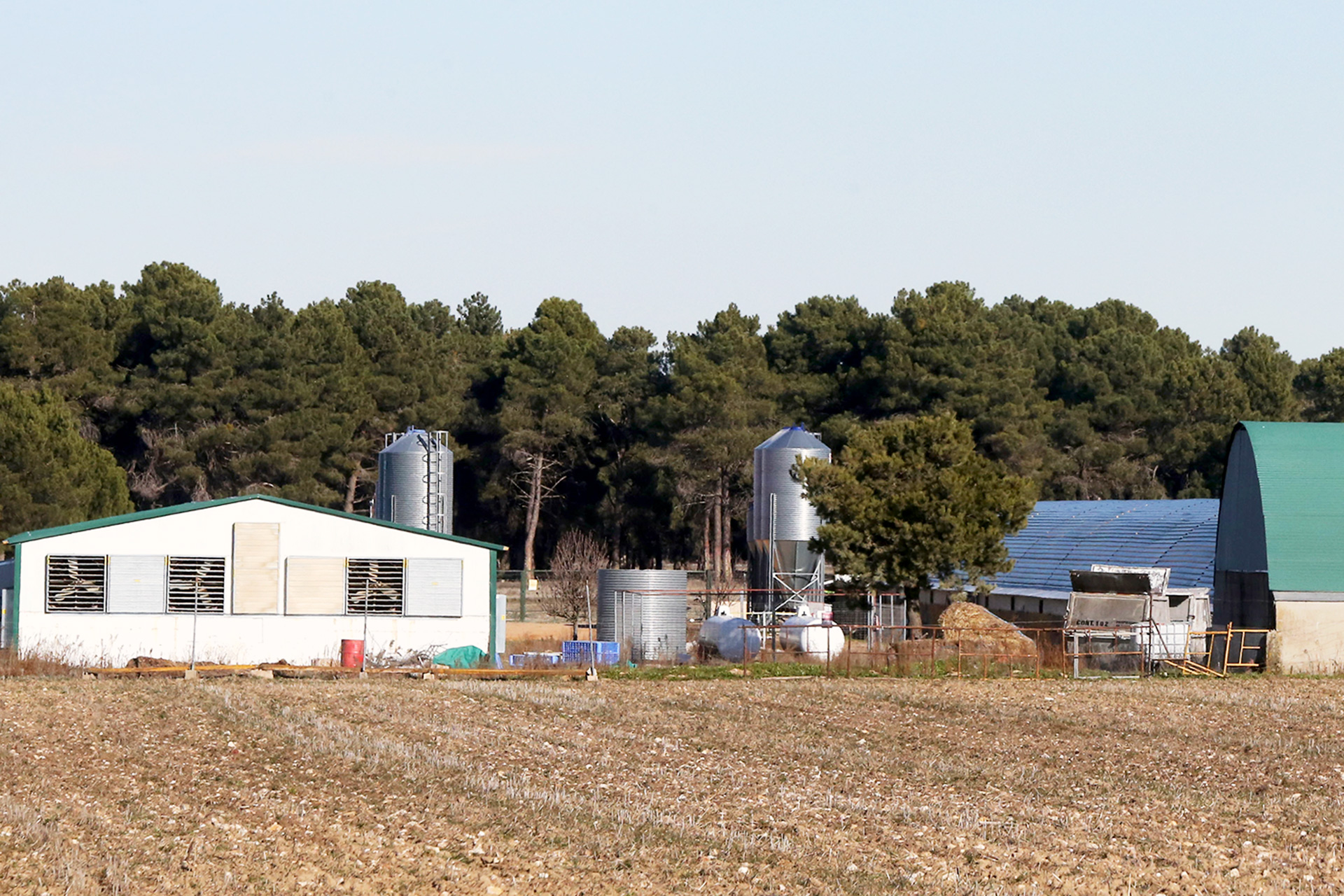 fuenterrebollo granja pavos
