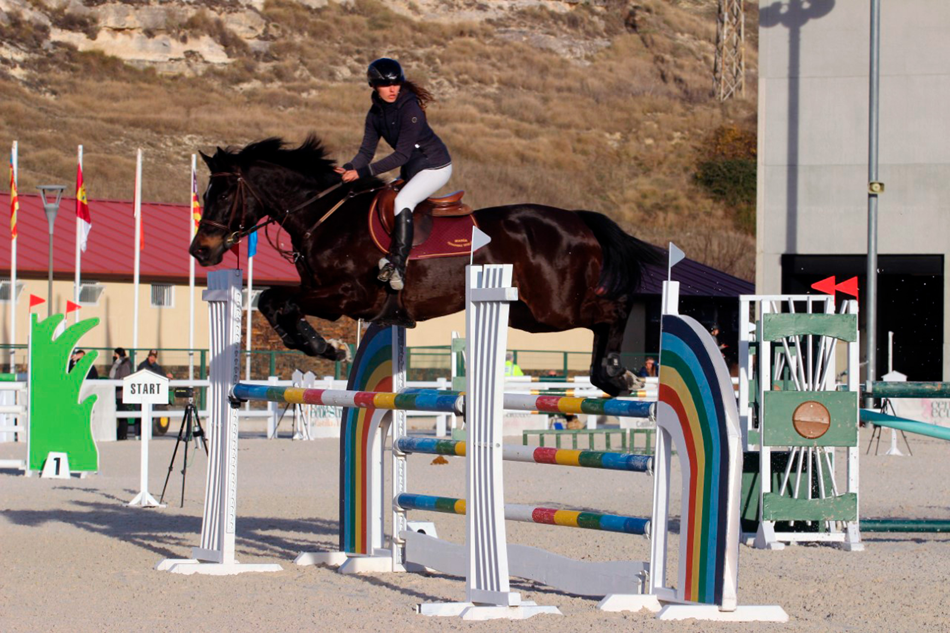 hipica centro ecuestre 1