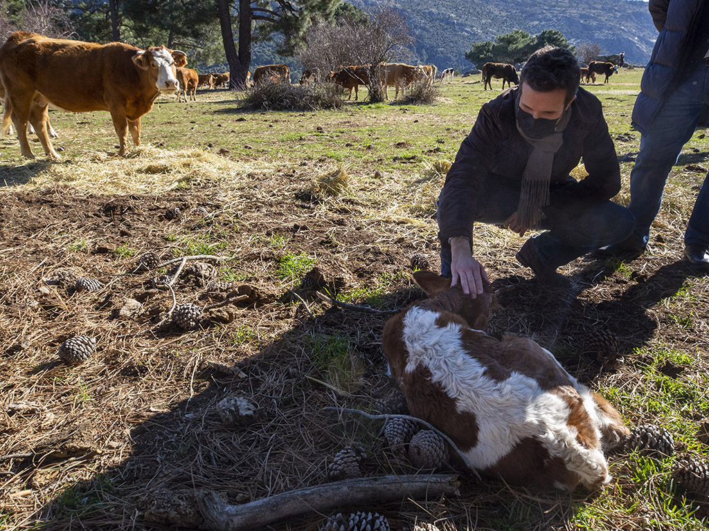 Más allá de las fotos en granjas: ¿qué proponen los partidos para el campo? 1 01MAX202201545022