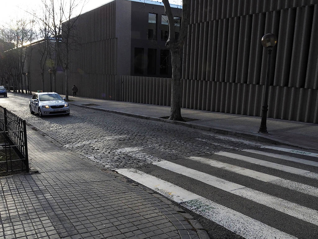 Calle Coronel Rexach de Segovia, a la altura del Campus 'María Zambrano'. / KAMARERO